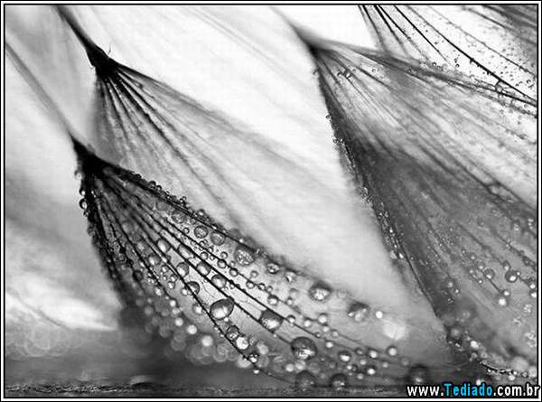 belas_fotos_chuva_19