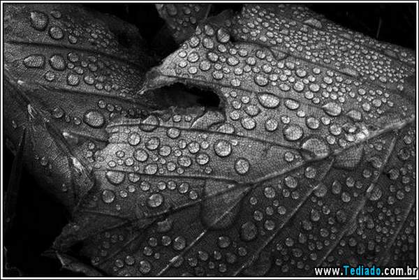 belas_fotos_chuva_32