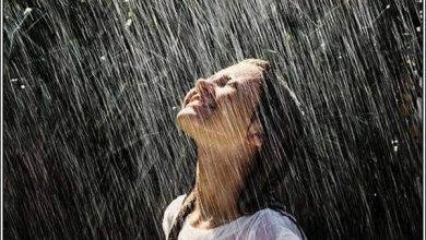 Belas fotos na chuva (34 fotos) 21