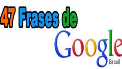 47 Frases de Google 11