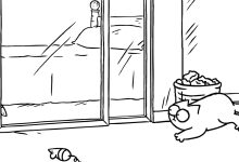 Gato Simon - Espelho 56