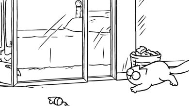 Gato Simon - Espelho 8