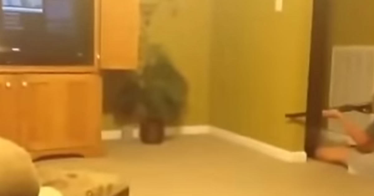 Como matar um rato com uma espingarda