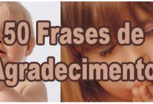 50 Frases de Agradecimento 7