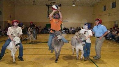 As fotos que são difíceis de explicar (19 fotos) 10