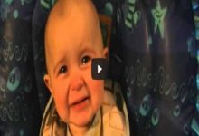 Bebê de 10 meses mais emotivo do mundo 8