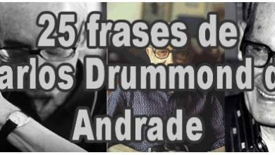 25 frases de Carlos Drummond de Andrade 3