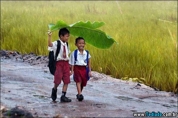 fotos_impressionantes_15