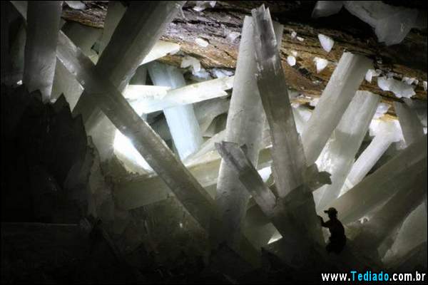 fotos_impressionantes_25