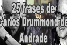 25 frases de Carlos Drummond de Andrade 6