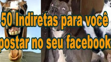 50 Indiretas para você postar no seu facebook 8
