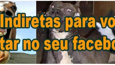 50 Indiretas para você postar no seu facebook 1