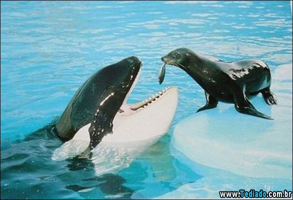 momentos_agradaveis_03