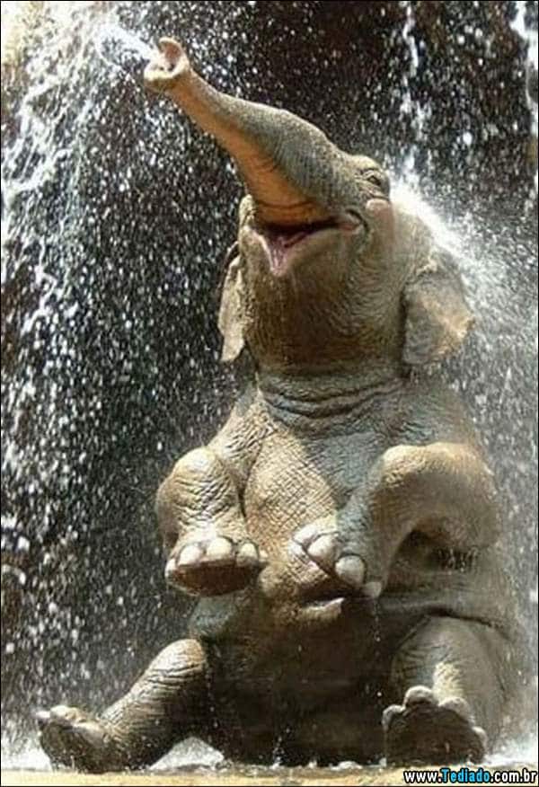 momentos_agradaveis_08