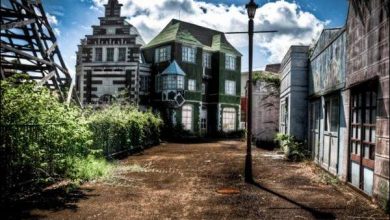 Nara Dreamland - um parque de diversões abandonado no Japão (33 fotos) 18