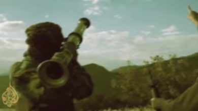 Rebeldes abatem elefante Dumbo 7