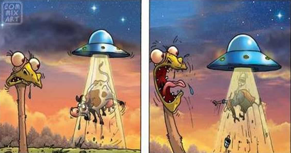 As Aventura do Avestruz