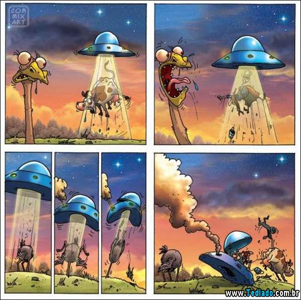 aventura_do_avestruz_01