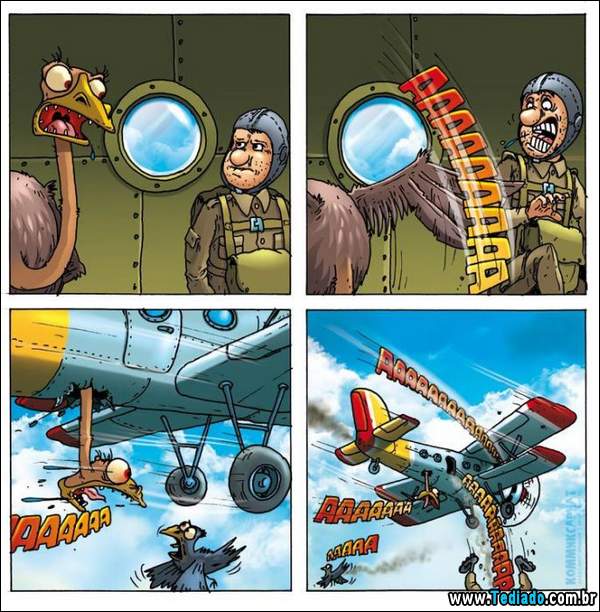 aventura_do_avestruz_03