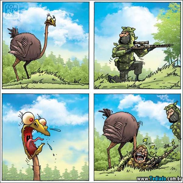 aventura_do_avestruz_04