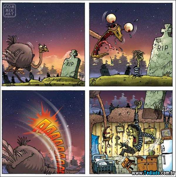 aventura_do_avestruz_07