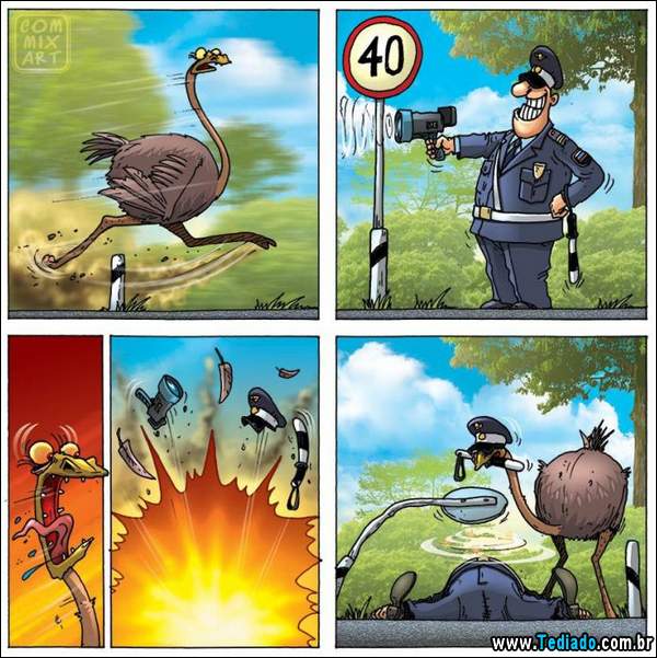 aventura_do_avestruz_08