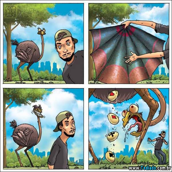 aventura_do_avestruz_10