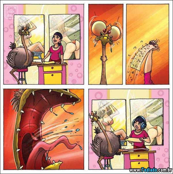 aventura_do_avestruz_11