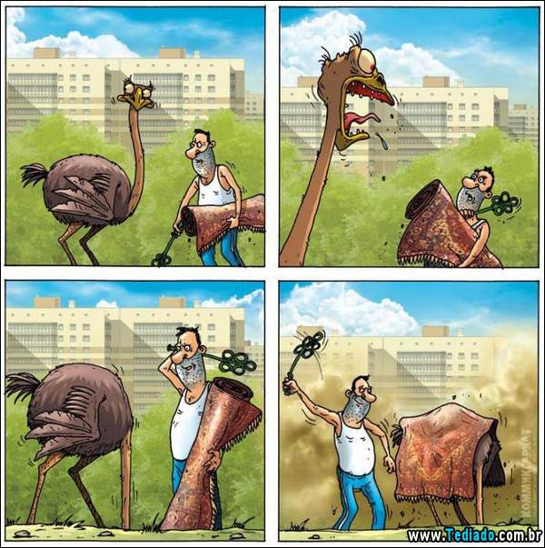 aventura_do_avestruz_13