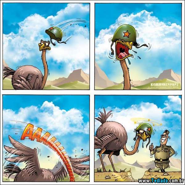 aventura_do_avestruz_14