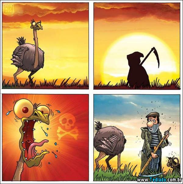 aventura_do_avestruz_15