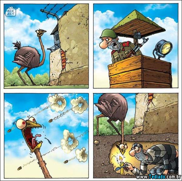 aventura_do_avestruz_16