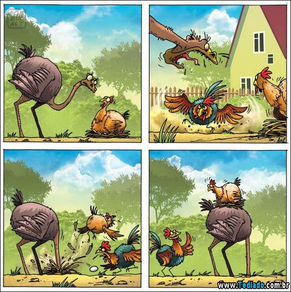 aventura_do_avestruz_17