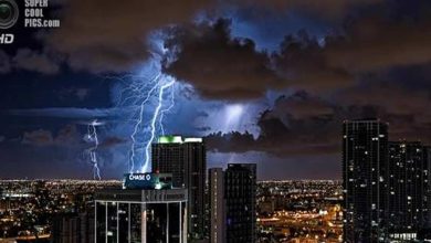 O céu sobre Miami (14 fotos) 26