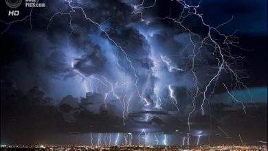 O céu sobre Miami (14 fotos) 25