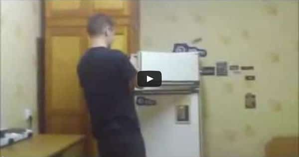 Como descongelar uma geladeira em 15 segundos 49