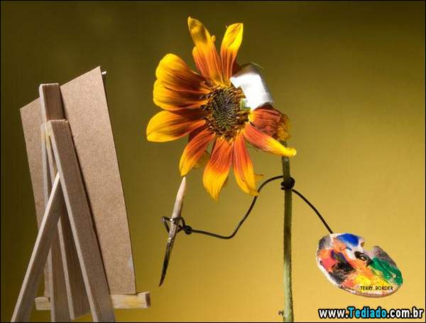 criativo_coisas_01