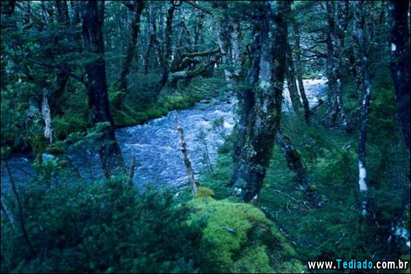 lago_mais_bonito_do_mundo_04