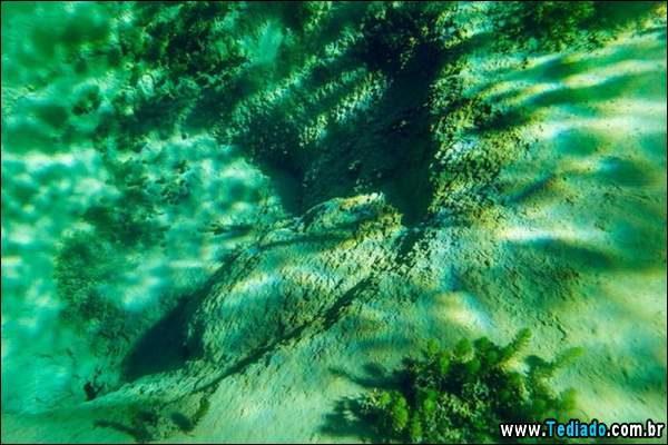 lago_mais_bonito_do_mundo_05