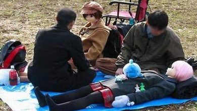 Que diabos está acontecendo? (24 fotos) 13