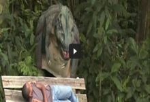 Pegadinha - Dinossauro no parque 8