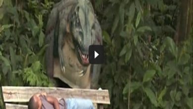 Pegadinha - Dinossauro no parque 6