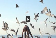 Pegadinha com gaivotas na praia 7