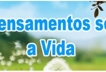 50 Pensamentos sobre a Vida 6