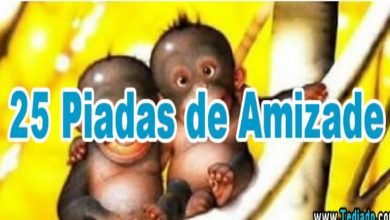 25 Piadas de Amizade 8