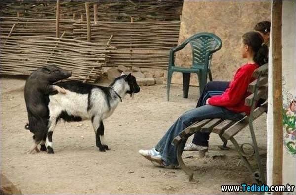 que_diabo_esta_acantecendo_13