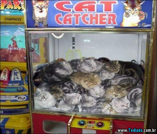 que_diabo_esta_acantecendo_21