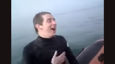 Rapaz empurra amigo em cima de tubarão no mar 5