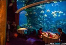 Restaurante subaquático em Dubai (20 fotos) 11