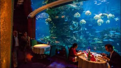 Restaurante subaquático em Dubai (20 fotos) 42